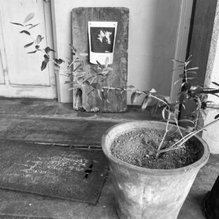 昭和の香り-川崎市中央卸売市場北部市場-