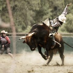 「個人投資家は儲からない」のワケ