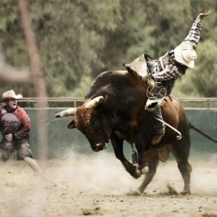 「個人投資家は儲からない」のワケ